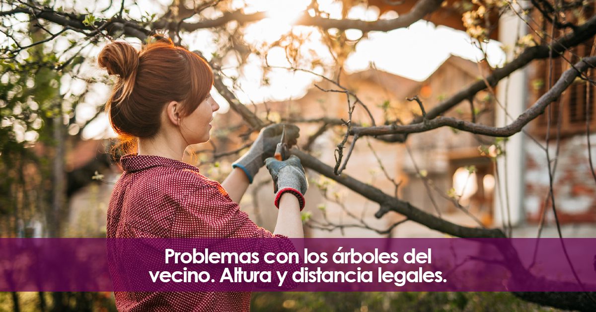 Problemas con los árboles del vecino